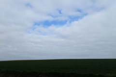 01066616-scaled
