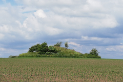 IMG_20210619_150059-scaled