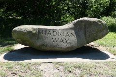 IMG-20220710-WA0014