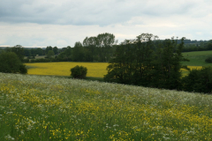 IMG-20220608-WA0005