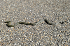 01011204-scaled