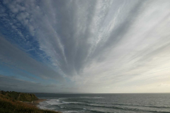 IMG-20220619-WA0024