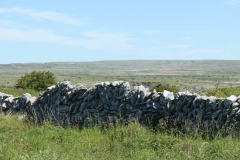 IMG-20220623-WA0007