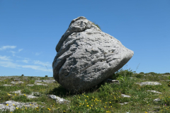 IMG-20220623-WA0009
