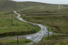 IMG-20220629-WA0016