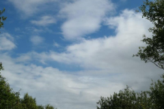 IMG-20220629-WA0018