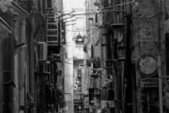 01022473-scaled