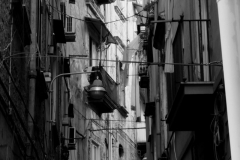 01022521-1-scaled