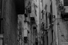 01022531-scaled