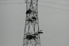 IMG-20220201-WA0003