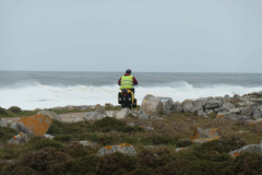 IMG-20220219-WA0031