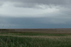 IMG-20220710-WA0021