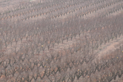 01033456-scaled