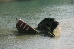 01034053-scaled