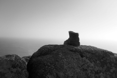 01045425-scaled
