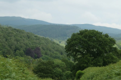 IMG-20220608-WA0015